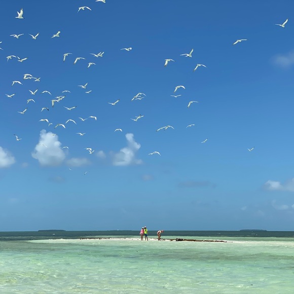 Like. Follow. Share. I’ll do the same 💕 - Picture 2 of 3